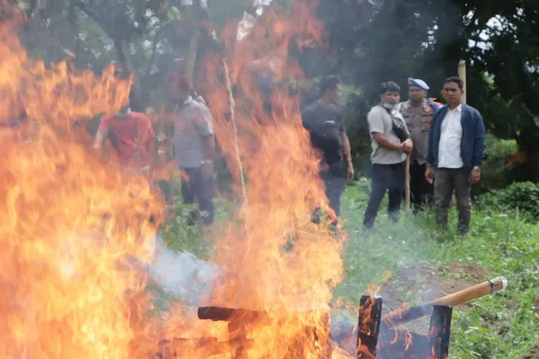 Respon Cepat Polres Karo! Barak Narkoba dan Judi di Perladangan Sukatendel Dibongkar
