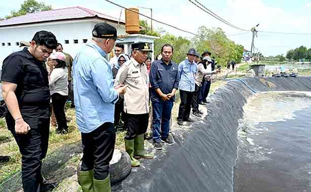 Wagub Sumut Surya Tinjau UPTD Sialang Buah, Dorong Peningkatan PAD Sektor Perikanan