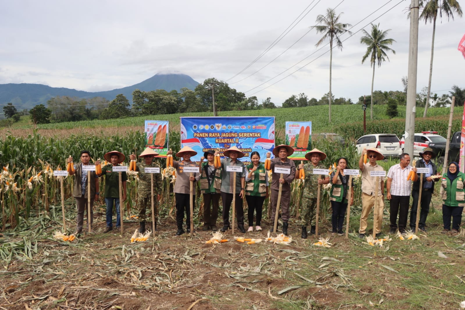 Panen Raya Jagung Serentak, Polres Karo Dukung Ketahanan Pangan Nasional