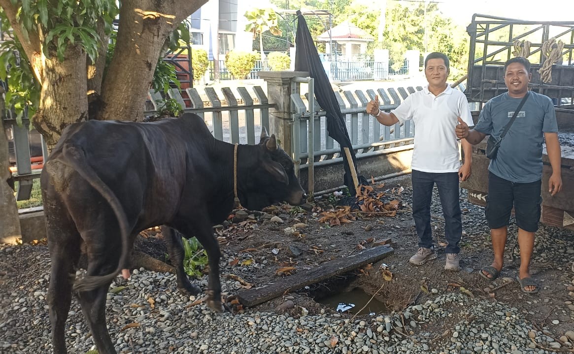 BNCT dan Bea Cukai Belawan Kolaborasi Salurkan Hewan Qurban Untuk Warga Belawan