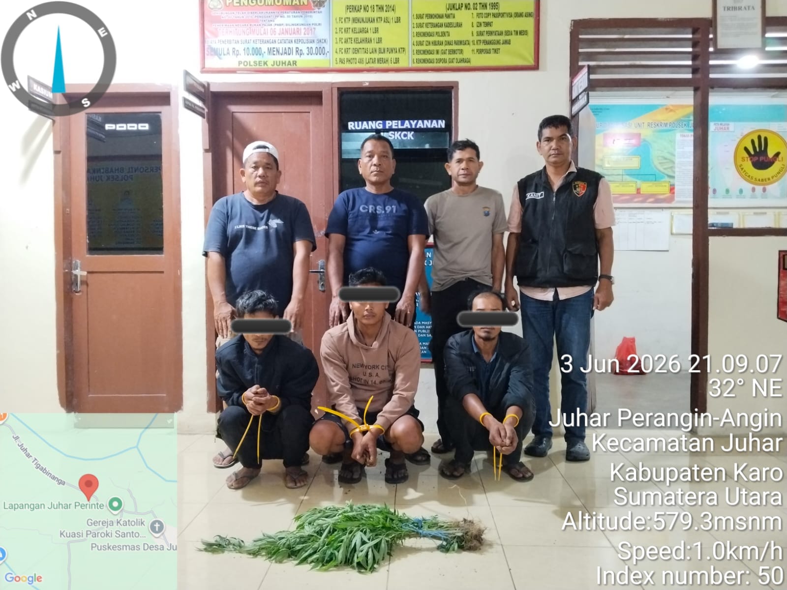 Tanaman Ganja Ditemukan di Perladangan Juhar