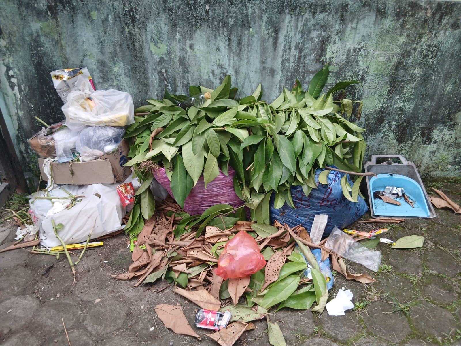 Sebulan 2 Kali Diangkut, Warga Medan Marelan Keluhkan Tumpukan Sampah 