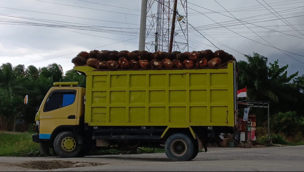 Warga Soroti Dugaan Truk TBS Overload, Jalan Simpang Tiga Kualuh Leidong Makin Rusak