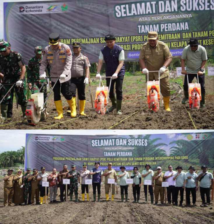 PTPN IV PalmCo Dorong Peremajaan Sawit Rakyat Disertai Tanam Padi Gogo di Asahan