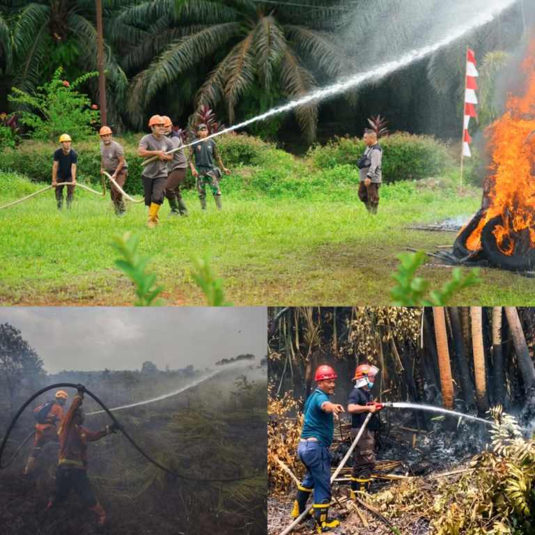 Antisipasi Karhutla, PTPN IV PalmCo Perkuat Deteksi Dini dan Patroli di Sumatera-Kalimantan
