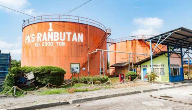 Perkuat Tata Kelola dan Standar Global, PTPN IV Akselerasi Sertifikasi Ratusan Kebun dan PKS di Seluruh Regional